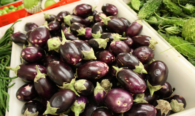 Maddening Eggplant