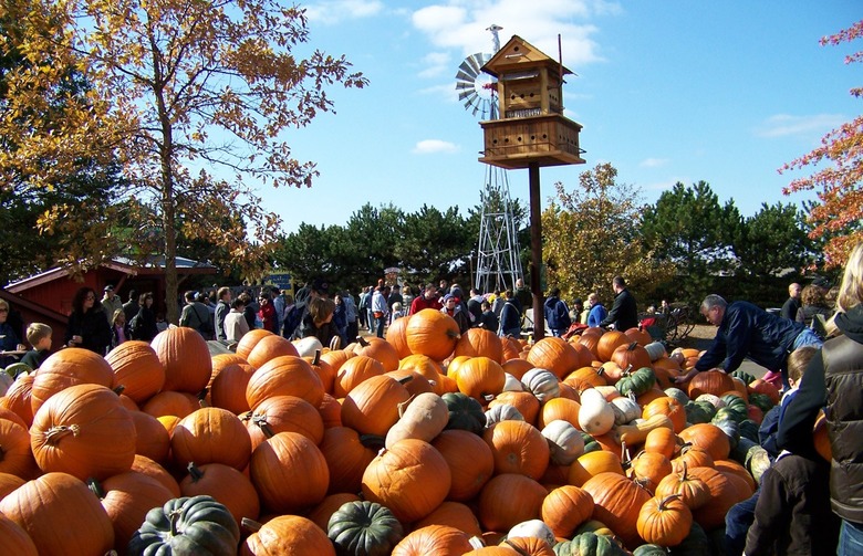 "Pumpkin Capital" of the World