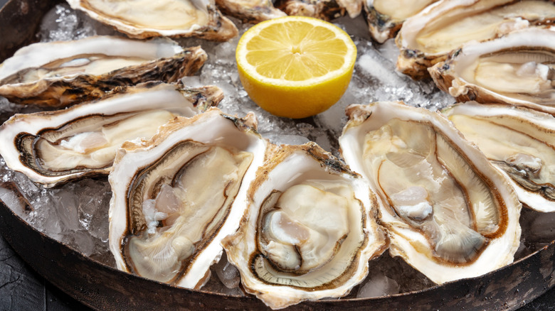 oysters, lemon, yellow, ice