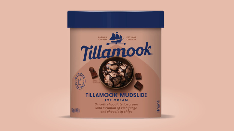 Tillamook Mudslide