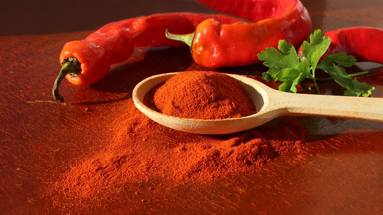 Peppers and spoon of paprika