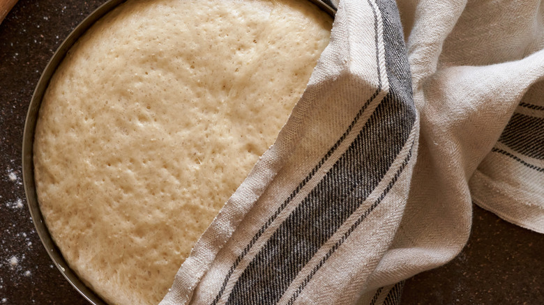 dough resting under kitchen cloth