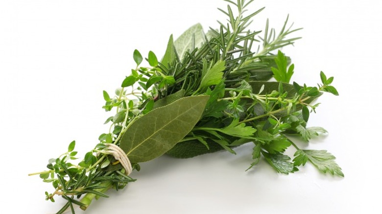 Bundle of fresh herbs