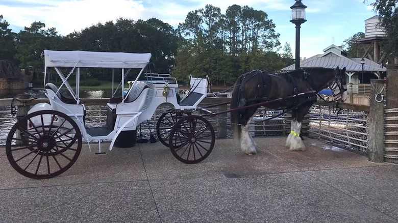 Go on a Carriage Ride