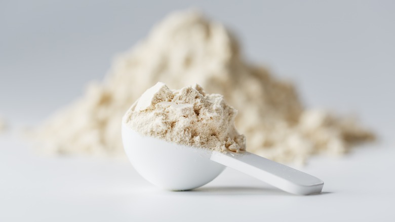 protein powder in white scoop