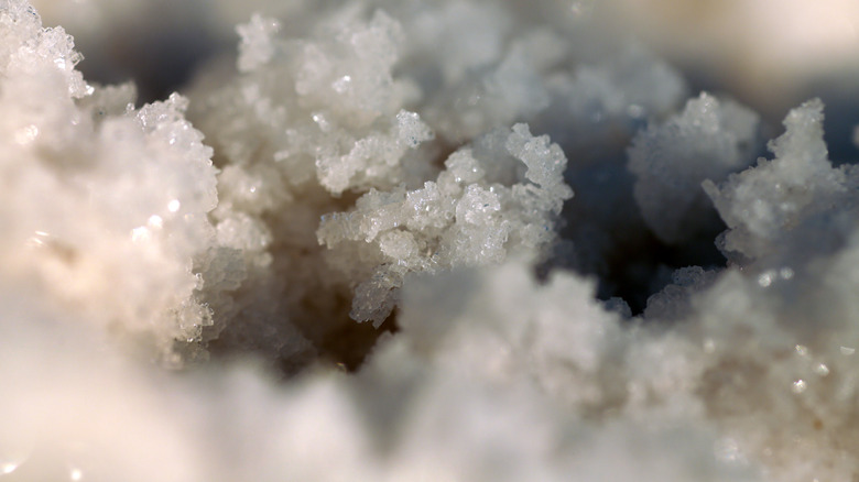 Crystals of fleur de sel