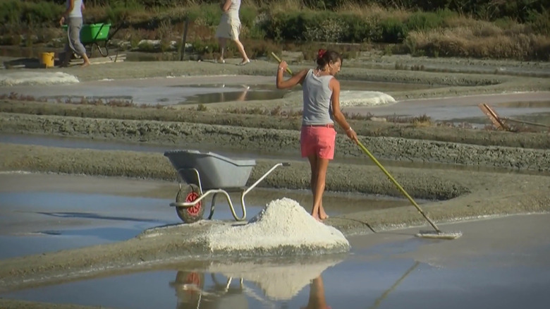 Salt harvesting in Guerande
