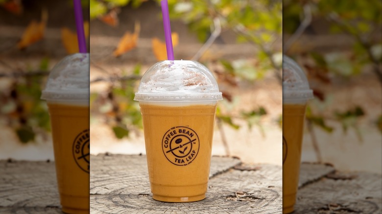 coffee bean pumpkin latte