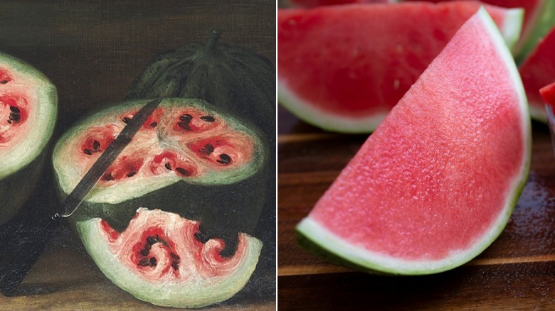 wild watermelon and domesticated watermelon