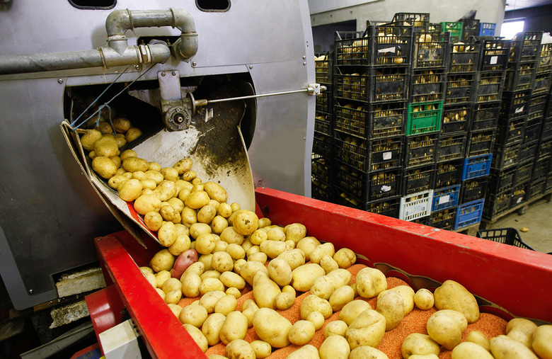 The produce was contaminated during transportation and processing