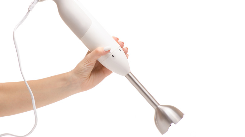 Person holding an immersion blender