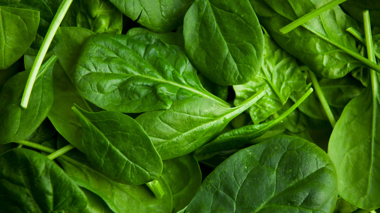 fresh spinach leaves