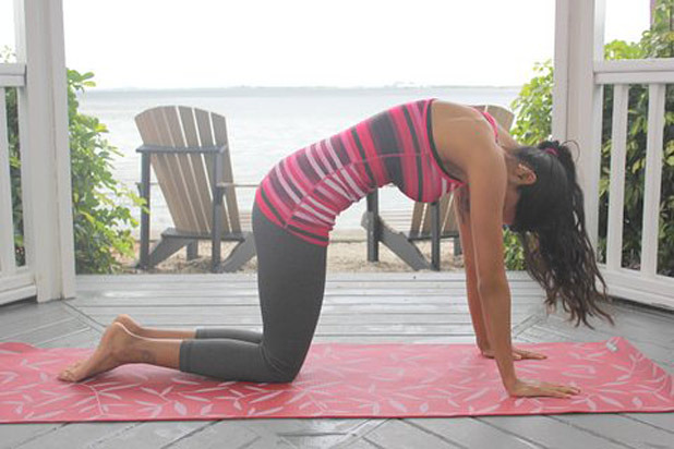 Marjaryasana (cat pose)