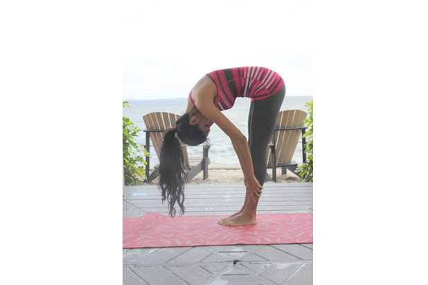 Ardha Uttanasana (standing half forward bend)