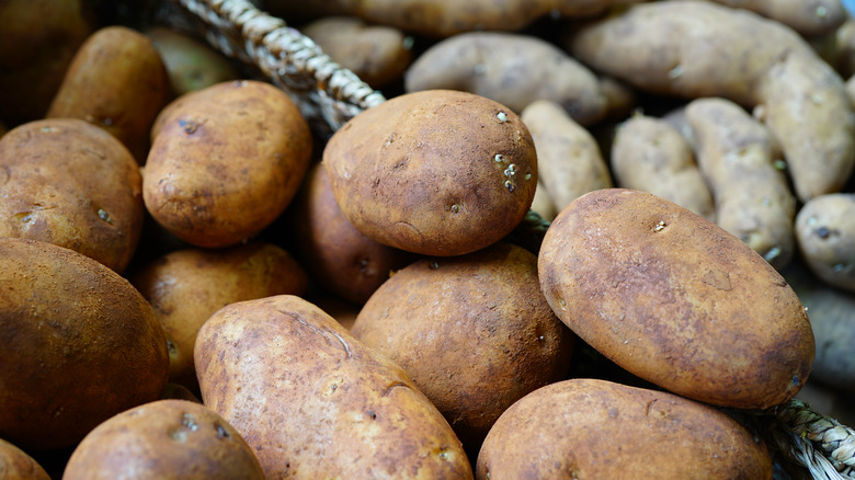 Dutch Cream potatoes