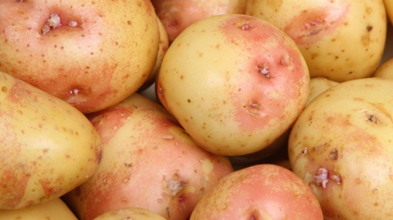 King Edward potatoes up close