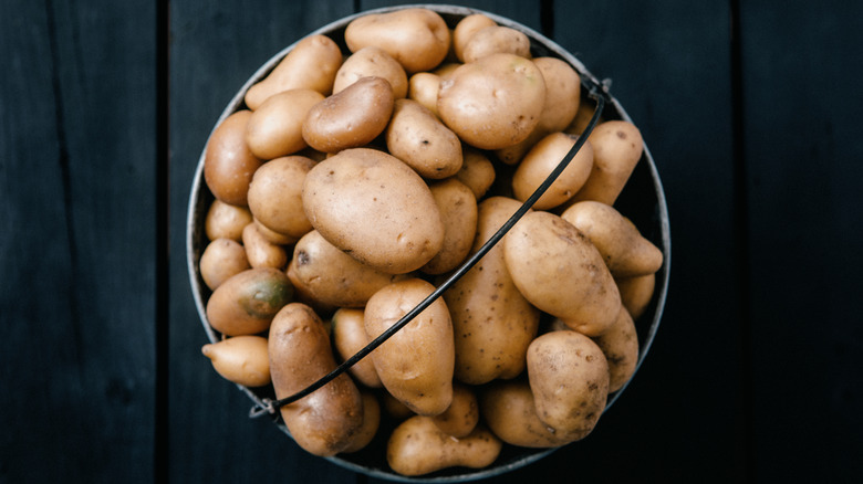 Bucket of Yukon Gold potatoes