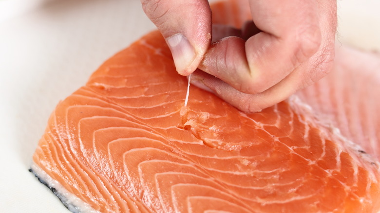 removing pin bones from salmon