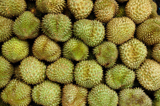 Durian Fruit Basket