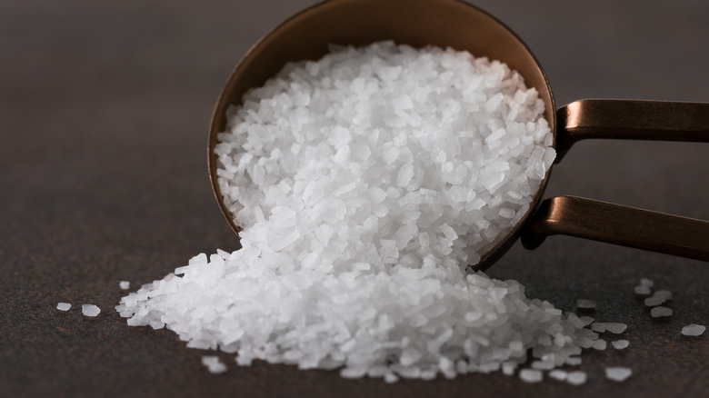 kosher salt spilling from spoon