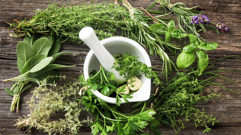 mortar and pestle with herbs