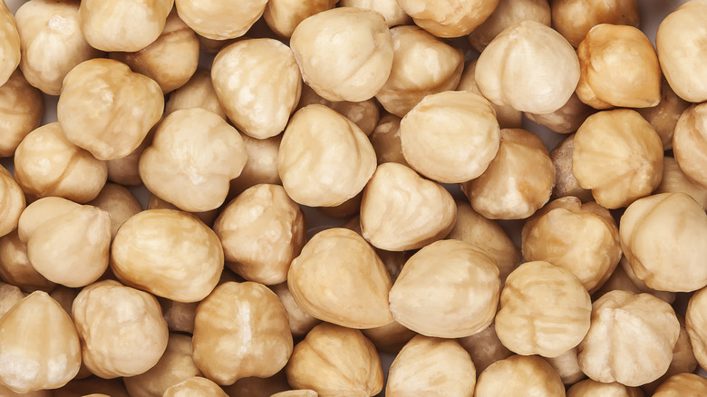 blanched hazelnuts