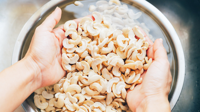 person soaking cashew nuts