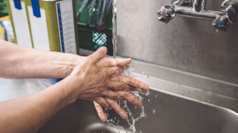 Employee washing hands in commercial kitchen