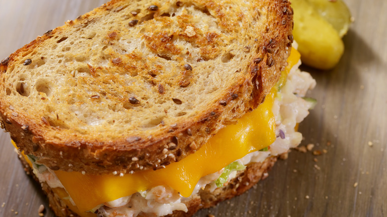 Close up of tuna melt