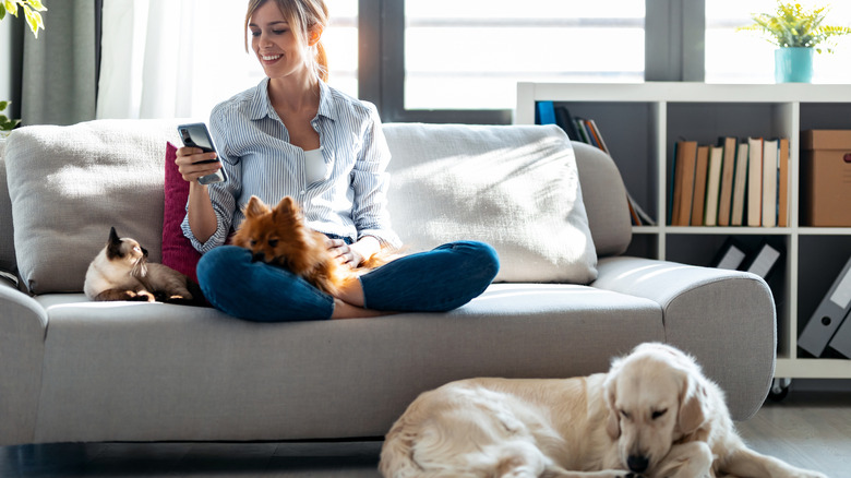 Woman on couch with animals