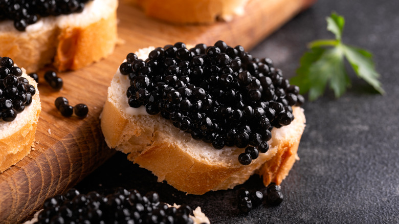 caviar on toast