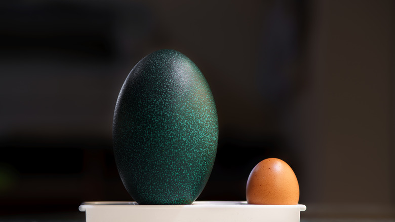 emu egg beside chicken egg