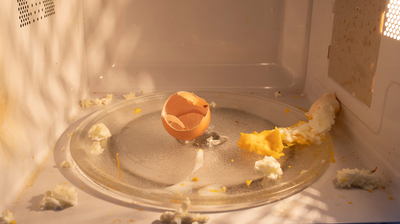 exploded egg in microwave