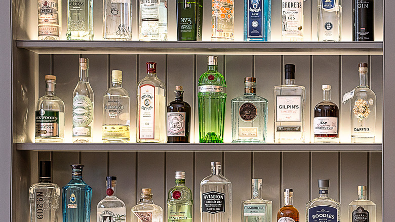 Bottles of gin on shelves