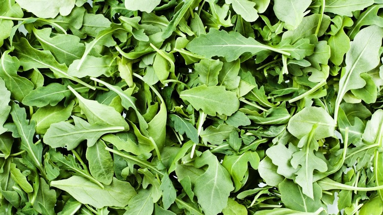 arugula leaves