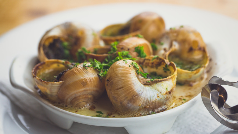 plate of escargot with parsley