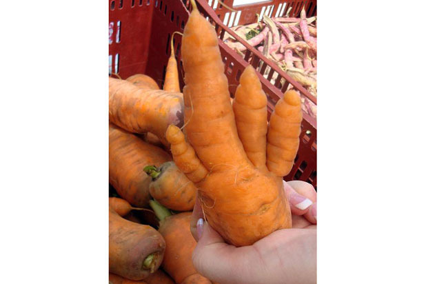 5. Severed "Carrot" Hand