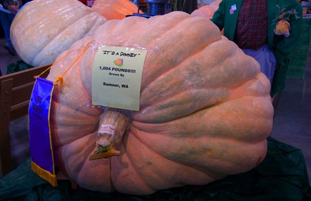 1,004-Pound Pumpkin