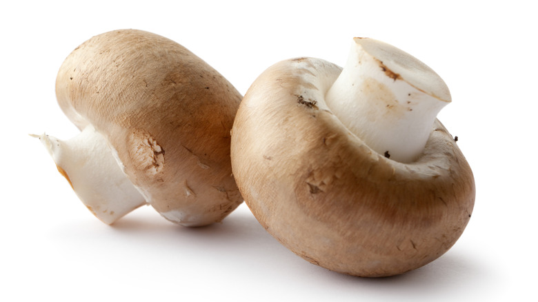 2 cremini mushrooms white background