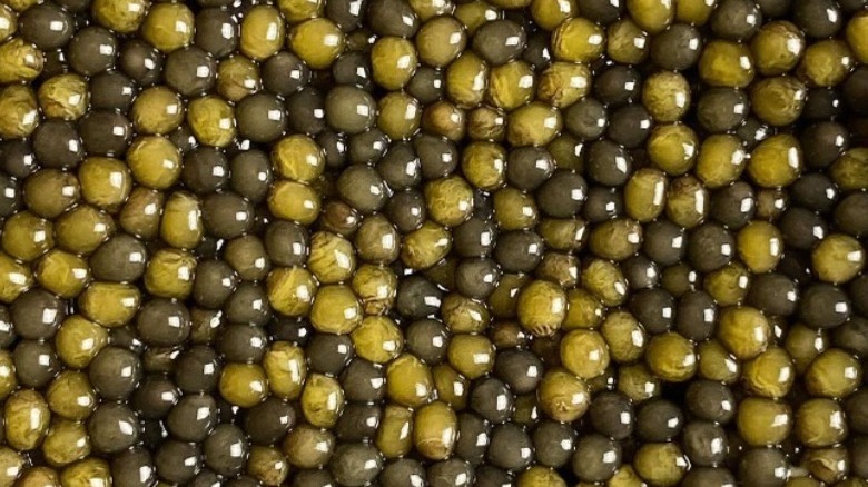 Two-Tone Osetra caviar close-up