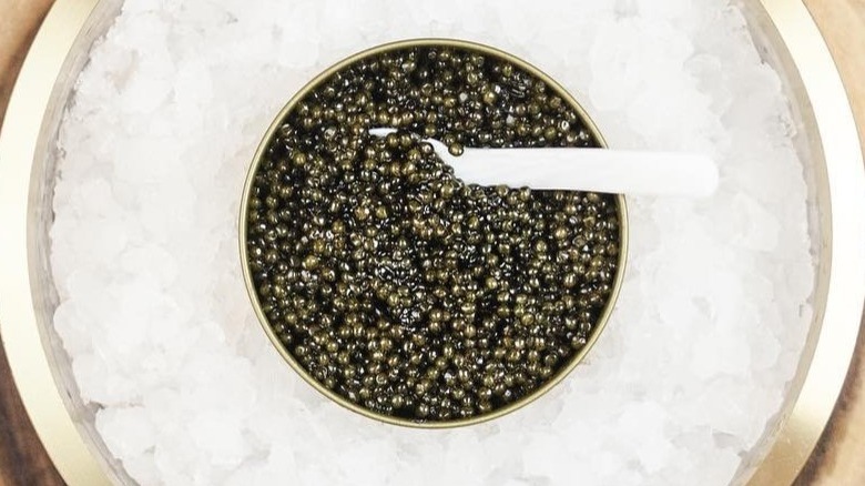 Caviar Co. tin on ice