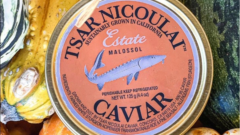 Tsar Nicoulai Estate caviar tin