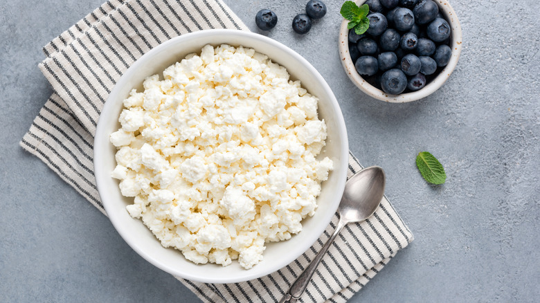 Bowl of cottage cheese with blueberries