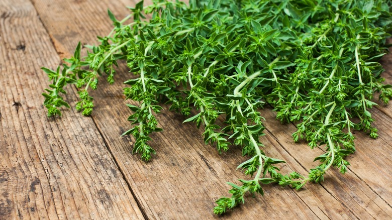 oregano bunch on wooden table