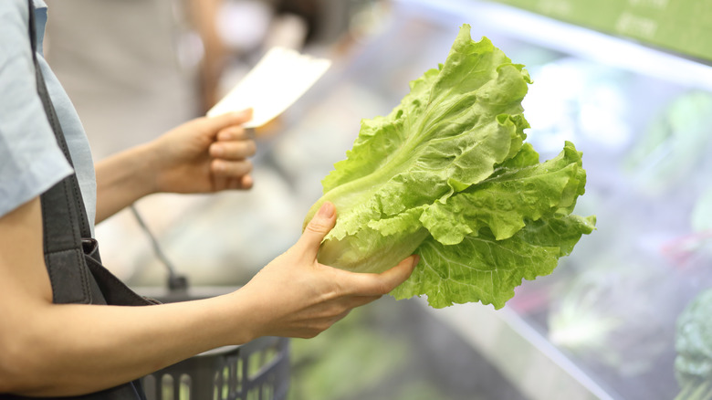 person holding lettuce in supermarket