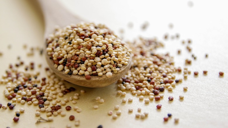 quinoa in wooden spoon