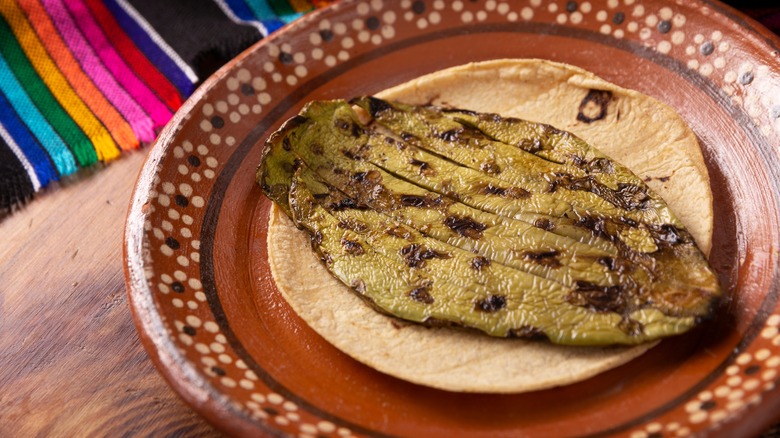 grilled cactus on tortilla