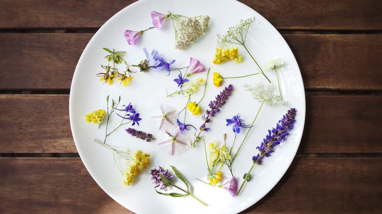 Edible flowers on plate