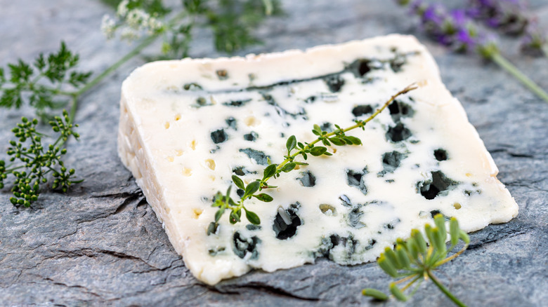 Slab of Roquefort cheese