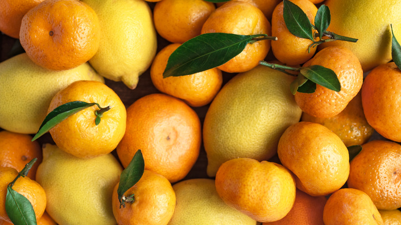 Various whole citrus fruits